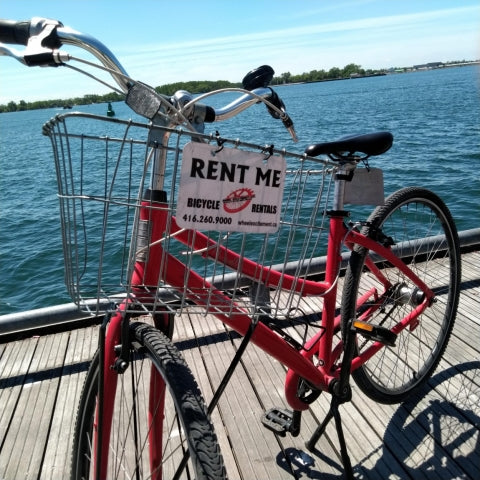 Bike Rental - Groups